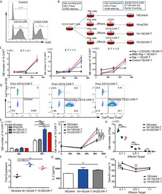 Short-Interval Sequential CAR-T Cell Infusion May Enhance Prior CAR-T Cell Expansion to Augment Anti-Lymphoma Response in B-NHL